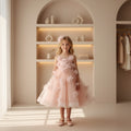 Amélie Blush Tulle Gown