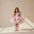 Rosalie Sparkle Bow Dress