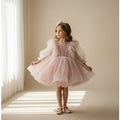 Blush Feather Tulle Dress